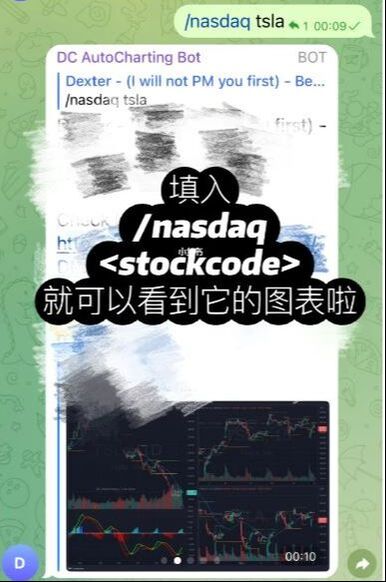 Example of getting Tesla stock chart by entering /nasdaq tsla.
